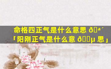 命格四正气是什么意思 🪴 「阳刚正气是什么意 🌵 思」